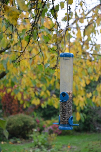 Secure Your Garden Serenity: Top-Rated Guardian Bird Feeders in London Keep Squirrels Away, Preserving Your Peace for Just £19.95!