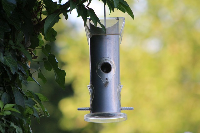 bird feeder