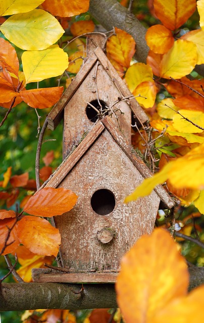 🐿️ Secure Your Manchester Garden’s Serenity with Cost-Saving Guardian Squirrel-Proof Bird Feeders! 🦰