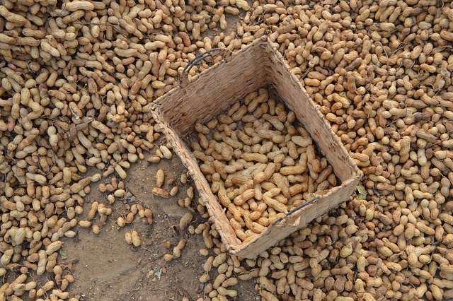 peanuts