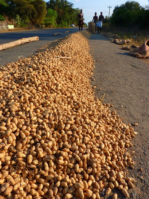 peanuts