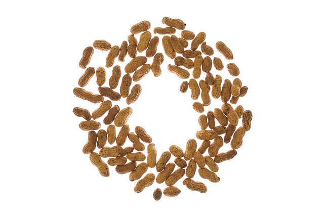 peanuts-640x480-87364793.jpeg