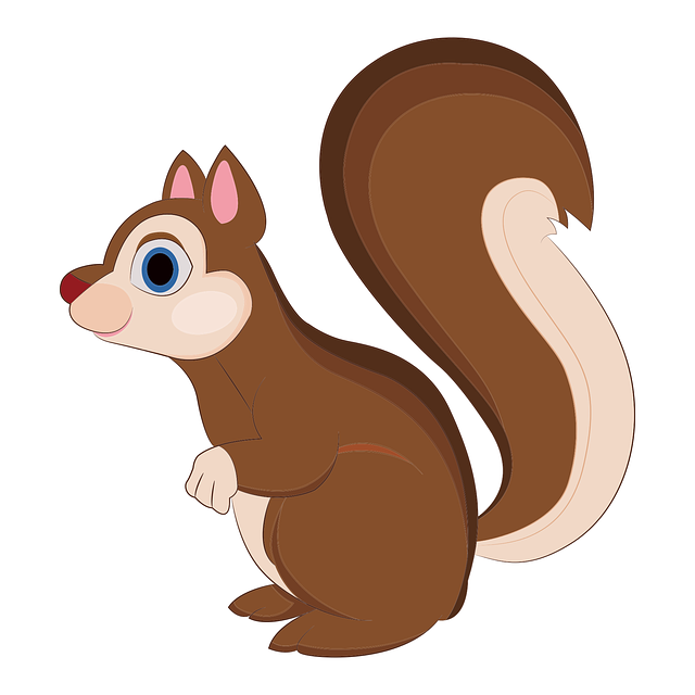squirrel