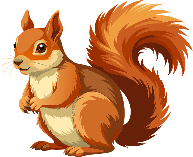 squirrel