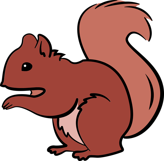 squirrel