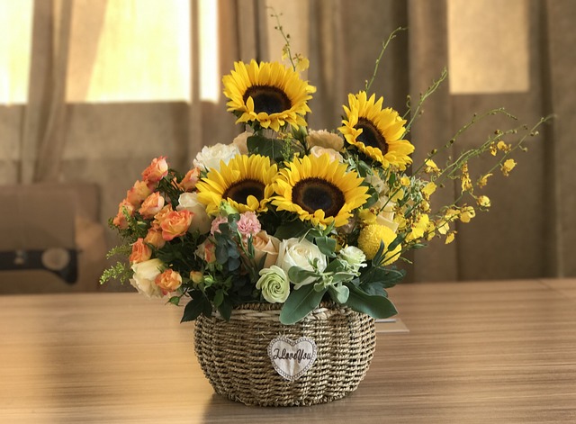 sunflower