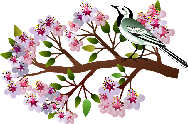 Wild Bird