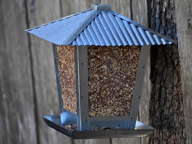 Elevate Your Birdwatching: Guardian Bird Feeders Bristol – Free Shipping, Attract More Birds Today!