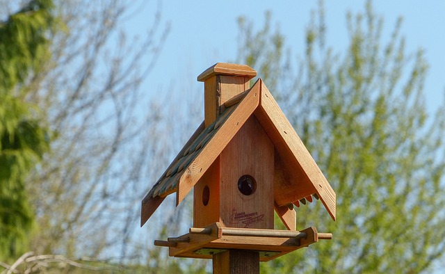 bird feeder