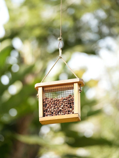 bird feeder