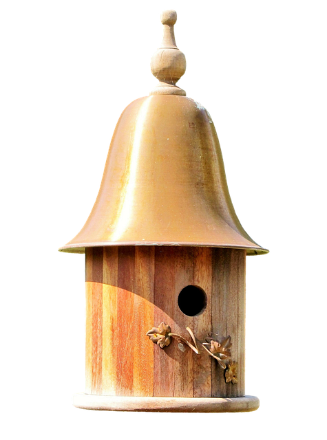 bird feeder