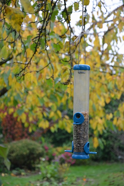 bird feeder