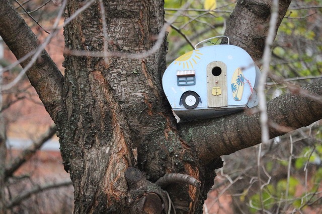 bird feeder