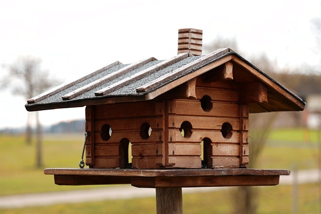 bird feeder