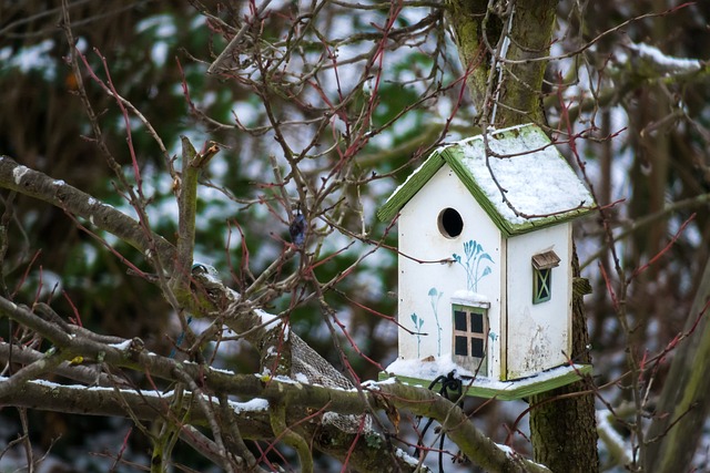 bird feeder