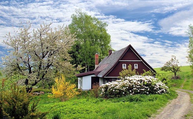 home-repair-640x480-51906603.jpeg