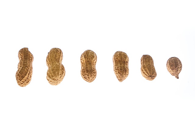 Transform Your Garden: Easy Birmingham Peanut Feeder Installation, Free Shipping!