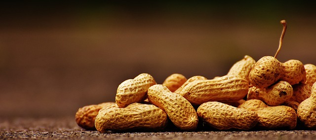 Keep Squirrels Out, Feed Birds More: Adjustable Peanut Feeder for Liverpool