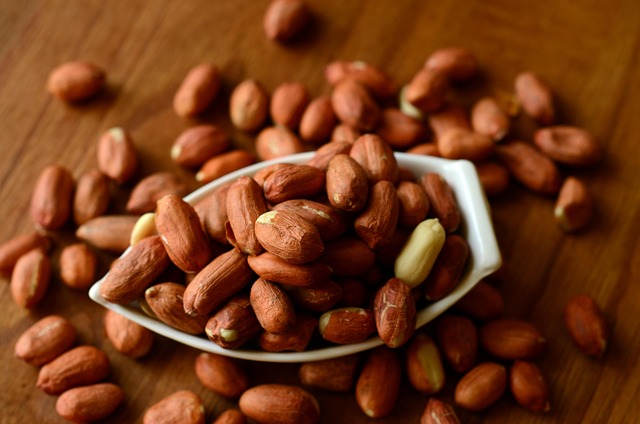 Attract More Birds in Liverpool: Free Dried Mealworms, Save on Peanuts!
