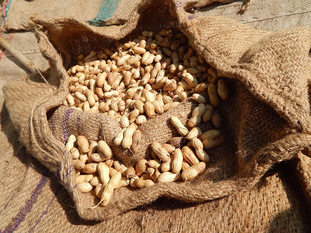 peanuts