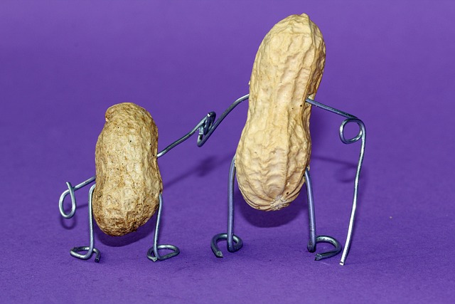 peanuts