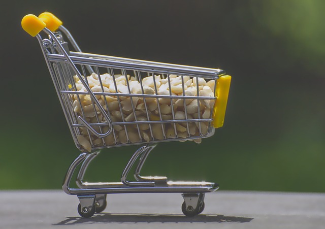 Save Big on Bird Delight: Bulk Peanuts for Birmingham Feathered Friends