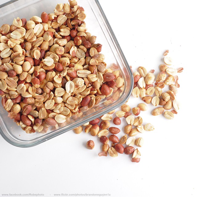 Cardiff’s Best Bird Treats: Fat Balls for a Healthy Winter – Save Now!