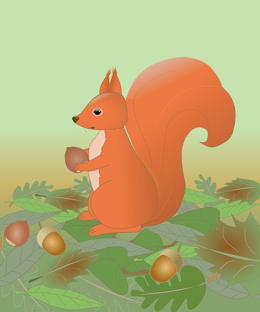 squirrel