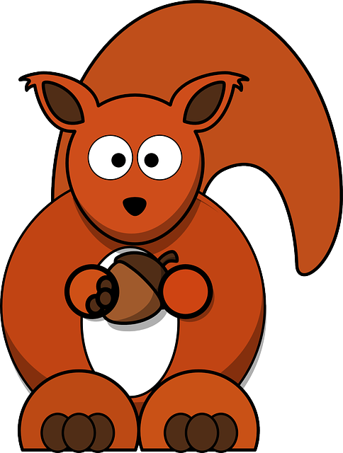 squirrel