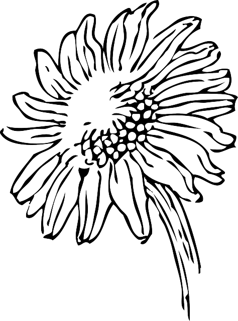 Liverpool's Top Pick: Bulk Sunflower Seeds - Free Shipping &amp; Huge Savings!