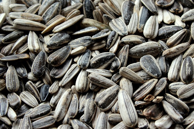 Save Big on Top Quality Sunflower Hearts: 25kg Mix at Best Prices in Sheffield – Free Shipping!