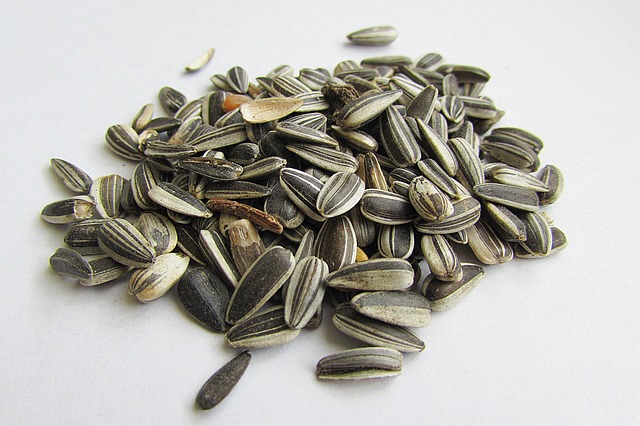 Feed Your Feathered Friends Without the Rusty Hassle - Durable Sunflower Seed Feeder for Liverpool Birds