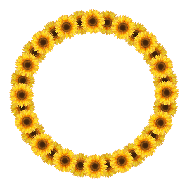 Save Big on Sunflower Seeds: Free Shipping in Bristol!