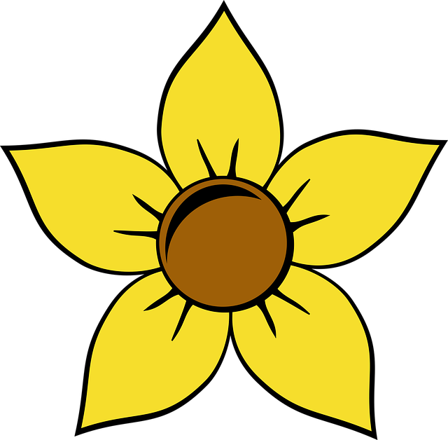 Manchester's Best: Save Big on Top-Quality Sunflower Seeds for Your Garden Feeder!