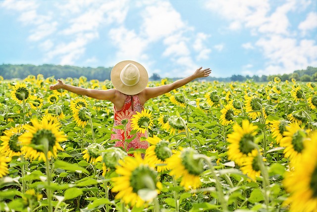 London’s Cheapest: Save Big with 25kg Sunflower Hearts Delivery!