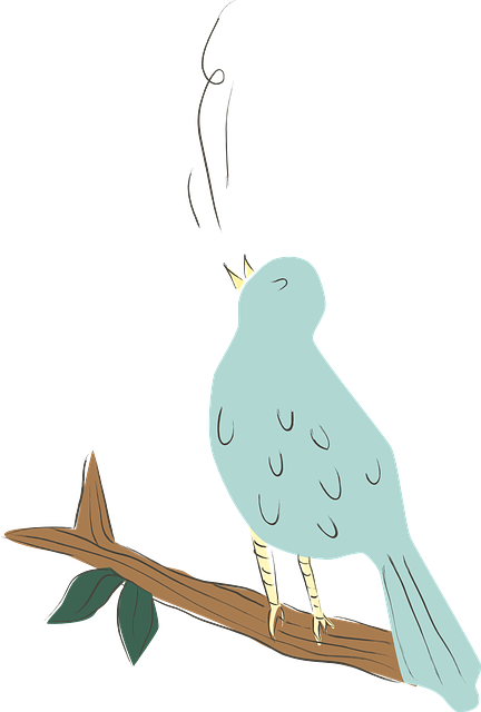 Wild Bird
