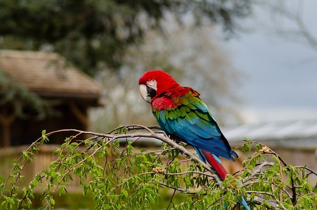 Sheffield's Best Deal: Save Money &amp; Enjoy Easy Bird Feeder Installation Today!