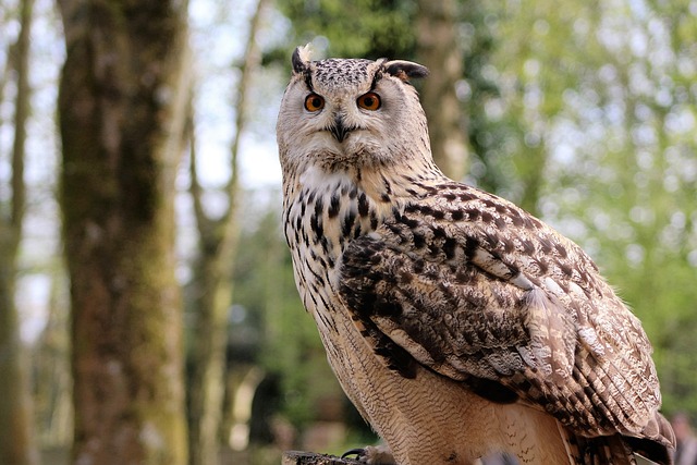 Transform Your Bird Feeder: Bulk Peanuts &amp; Mealworms, Birmingham's Perfect Combination