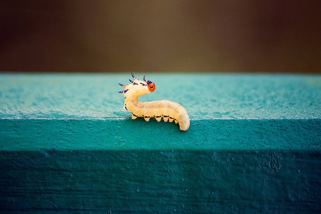 worms
