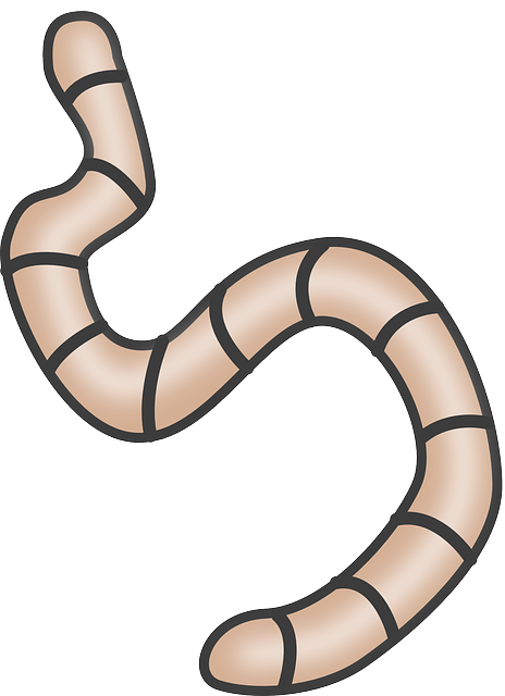 worms
