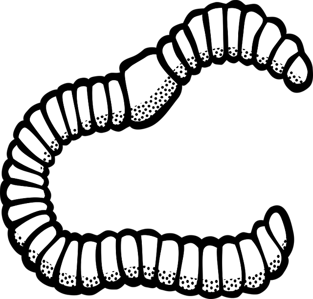 worms