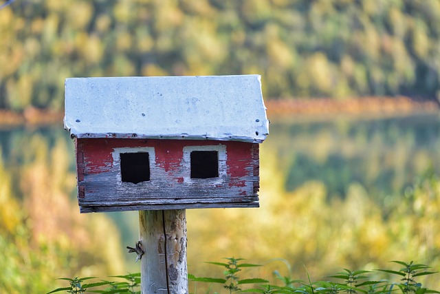 bird feeder