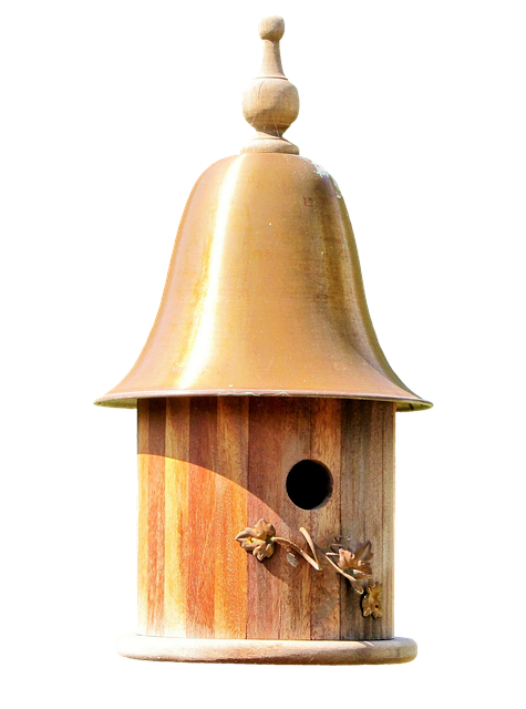 bird feeder