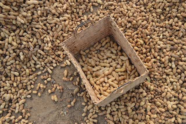 peanuts