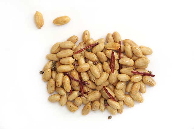 Leicester's Top Pick: Bulk Peanuts for Birds - Free Shipping, Save Big!