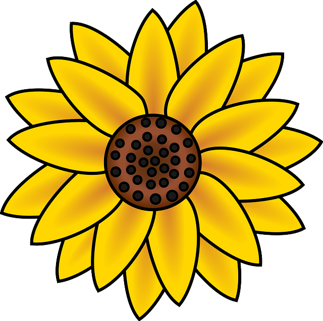 Save Big on Top-Quality Sunflower Seeds for Leicester Birds - Free Shipping!