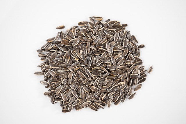 Save Big on 25kg Sunflower Hearts: Top Quality, Best Price in Liverpool!