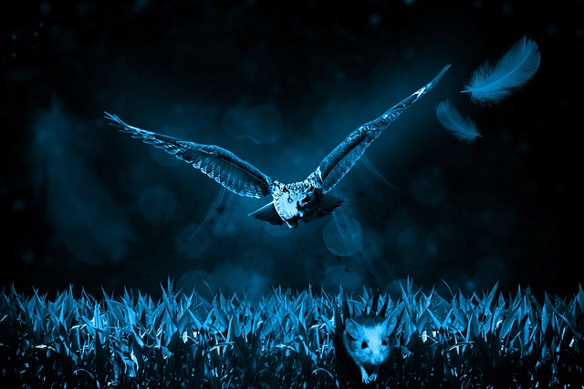 Wild Bird