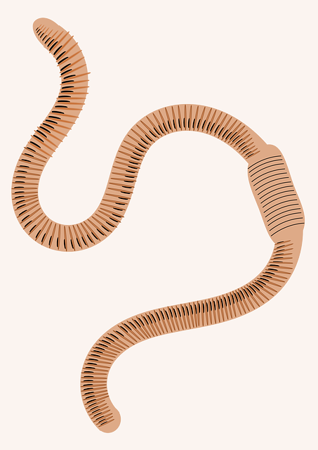 worms