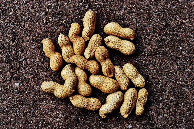 peanuts